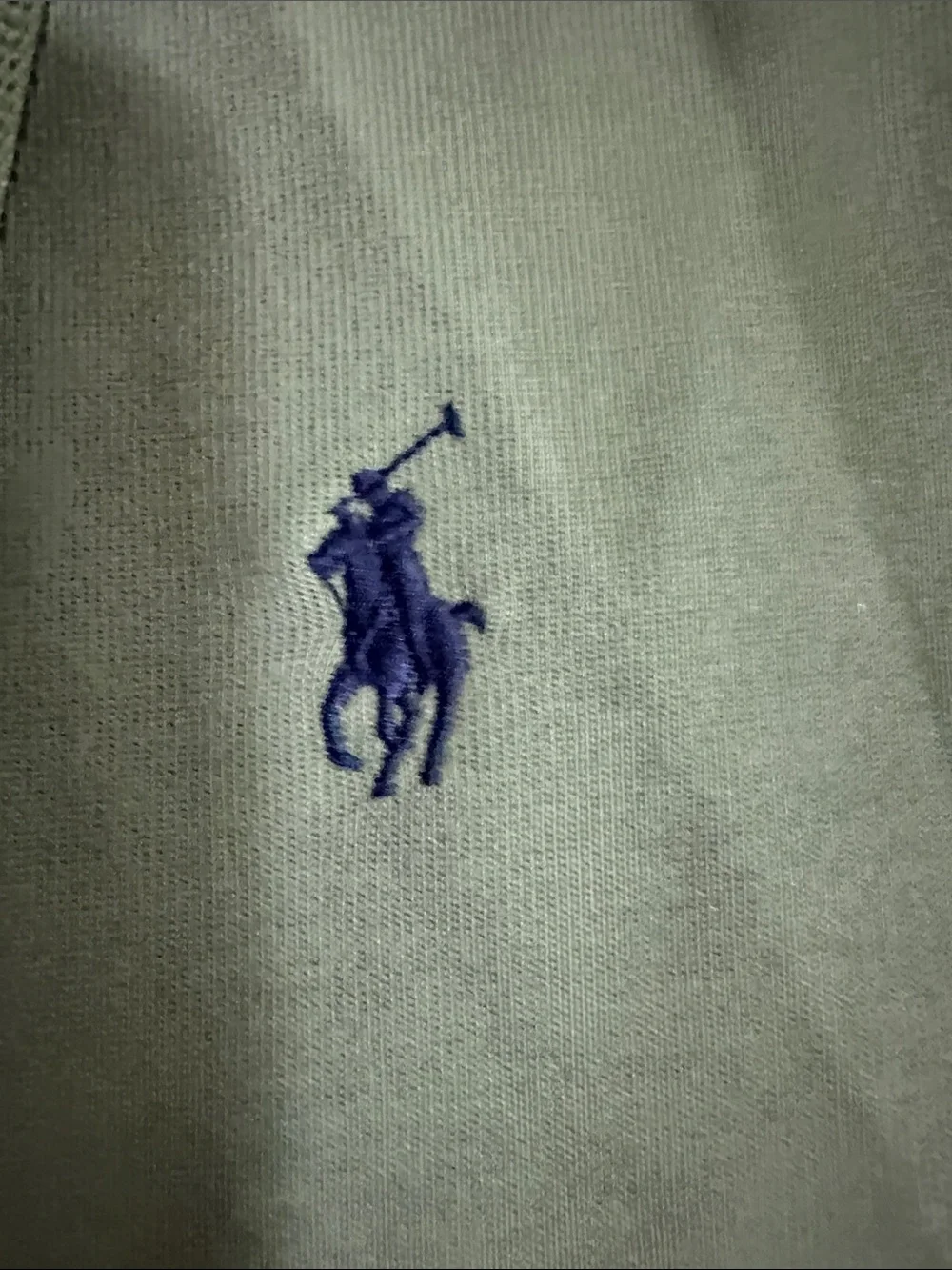 Polo by Ralph Lauren Light Sage Green Zip-Up Hoodie - 2XL